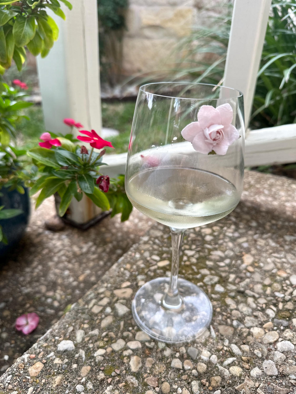 Botanical Butterfly Wine Charm Set — 7 Piece